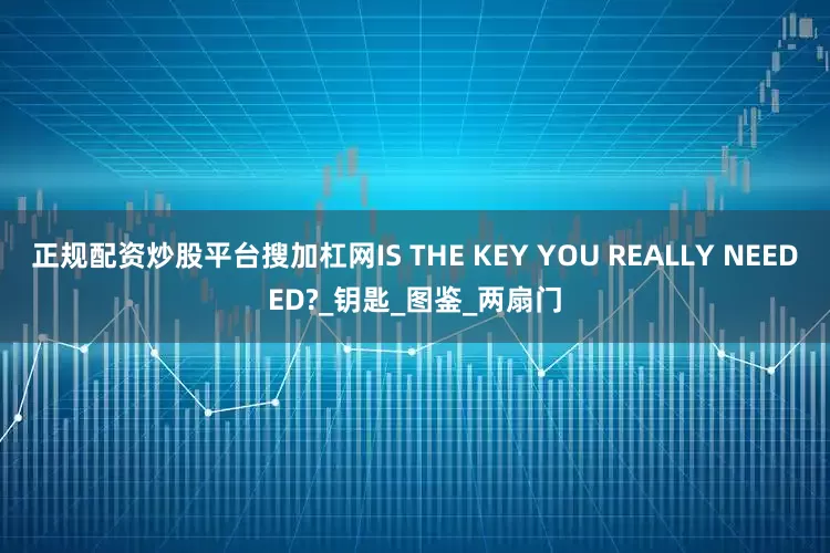 正规配资炒股平台搜加杠网IS THE KEY YOU REALLY NEEDED?_钥匙_图鉴_两扇门