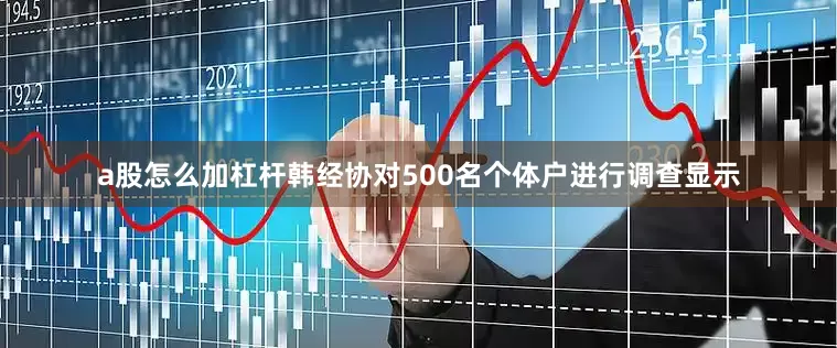 a股怎么加杠杆韩经协对500名个体户进行调查显示