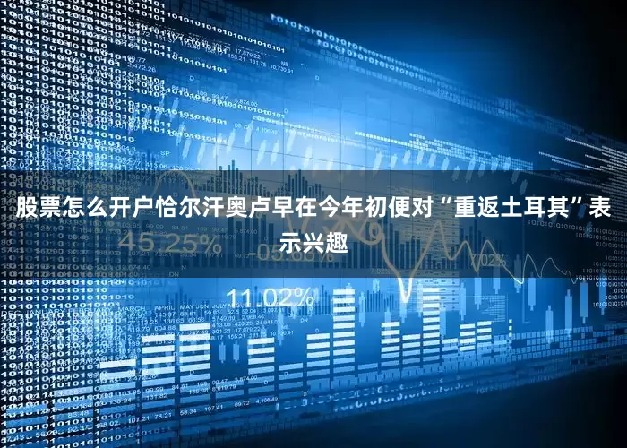 股票怎么开户恰尔汗奥卢早在今年初便对“重返土耳其”表示兴趣