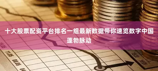 十大股票配资平台排名一组最新数据带你速览数字中国蓬勃脉动
